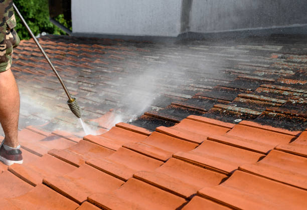 Best Pressure Washing Services for Businesses  in Nipomo, CA
