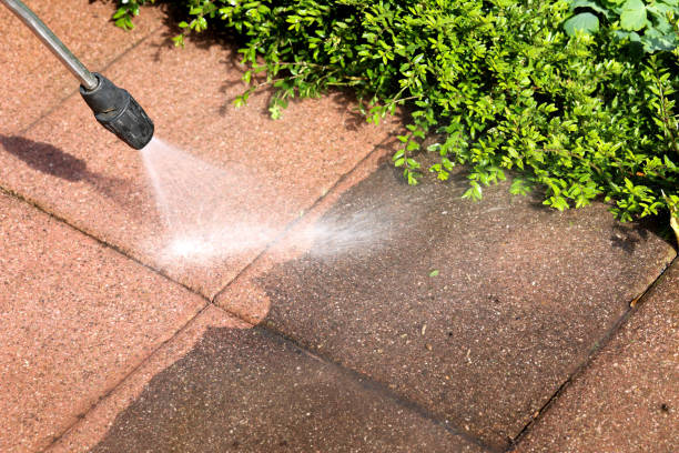 Best Roof Pressure Washing  in Nipomo, CA
